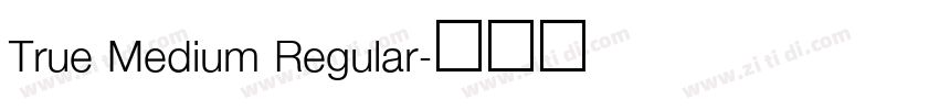 True Medium Regular字体转换